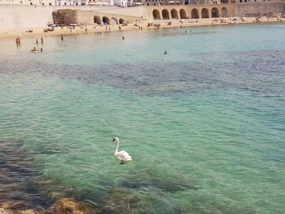 Bilocale Dillo Alla Luna Gallipoli Exterior foto